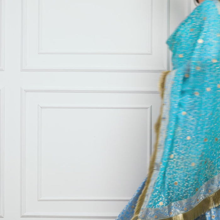 Video of a model wearing the Zahrat Falaknuma – Sky Blue Kimkhwab Gharara Set, walking gracefully and twirling to display the gharara’s wide flare. The golden zari and stone embellishments catch the light, and the sheer dupatta glides with movement, revealing shimmering lace borders and gold fringe in motion. 
Zahrat